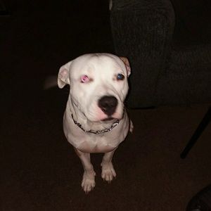 Meet your Posher, Carla